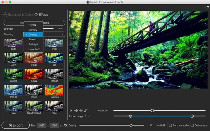 Liquivid Exposure And Effects 1.2.3 Download Free